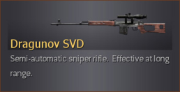 dragunov_acog_mp