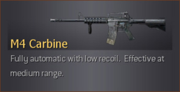 m4_acog_mp